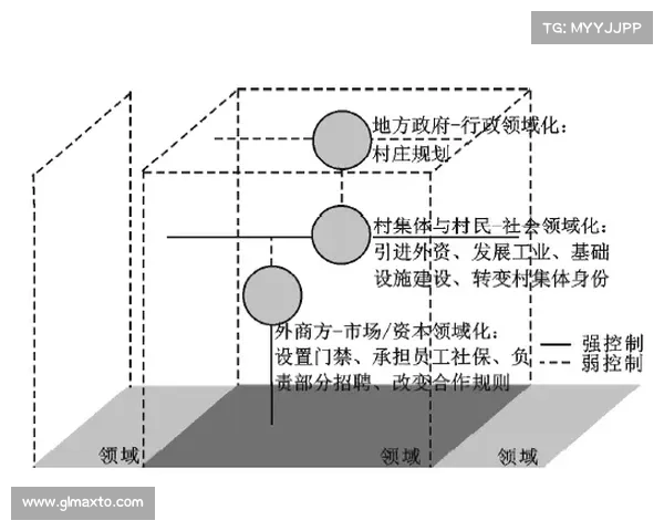 从多维角度全面解析洛塞尔索比赛表现的方法与实践框架要领域